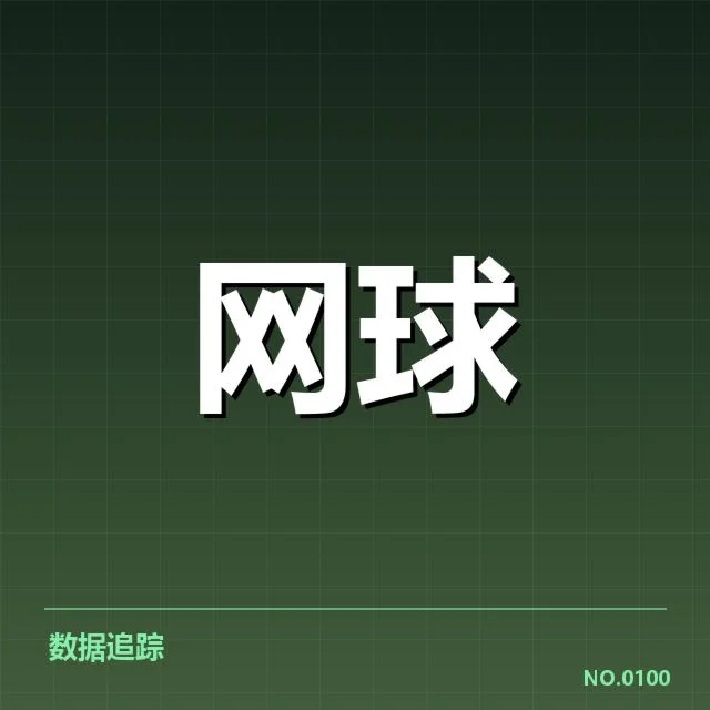 中国网球选手场地适应：技巧调整与挑战缘由