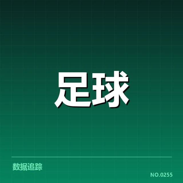 勒沃库森教练变动：球队未来走向成疑问